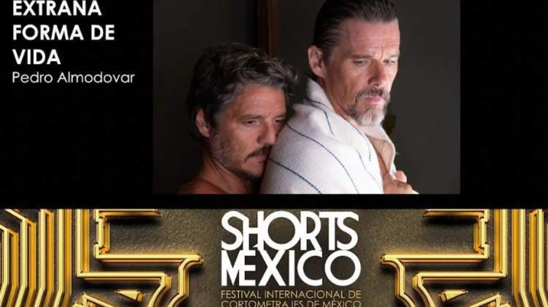 Shorts Mx Festival Internacional de Cortometrajes México